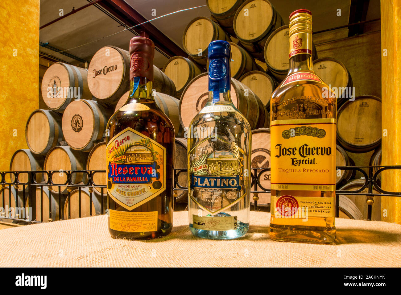 Bottles of Tequila at Jose Cuervo La Rojena Tequila distillery, Tequila, UNESCO World Heritage Site, Jalisco, Mexico. Stock Photo