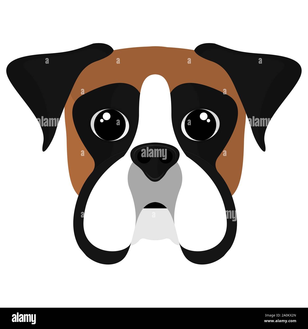 Isolated cute boxer cartoon. Dog breeds - Vector Stock Vector Image & Art -  Alamy