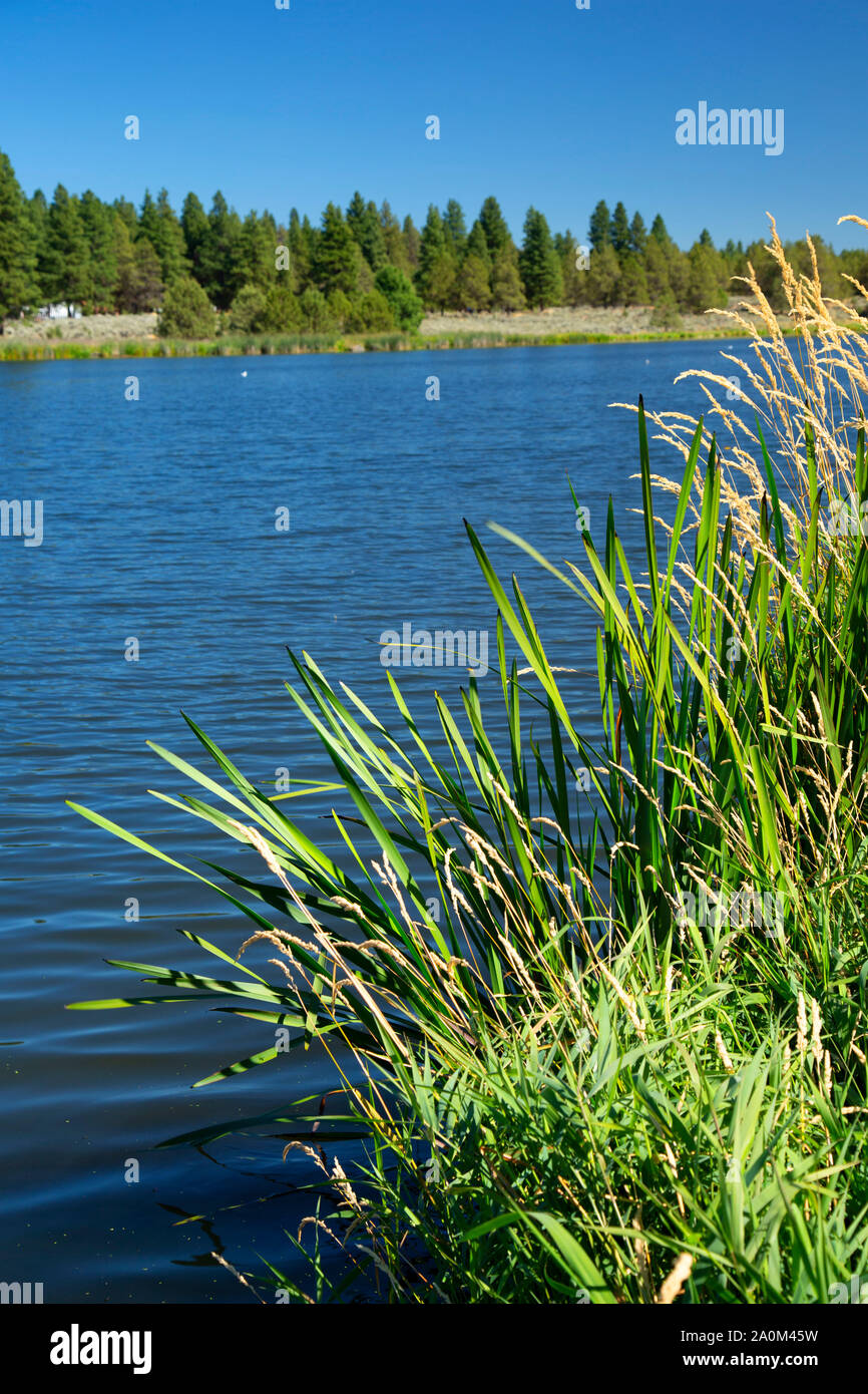 Lake Ewauna, Keno Recreation Area, Klamath County, Oregon Stock Photo