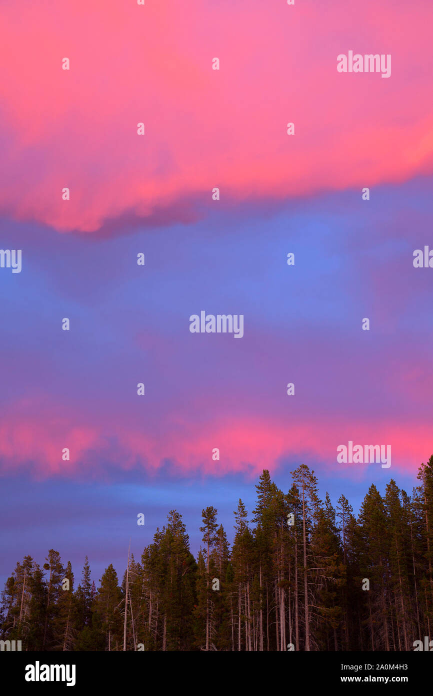 Forest sunset by Fourmile Lake, Winema National Forest, Oregon Stock