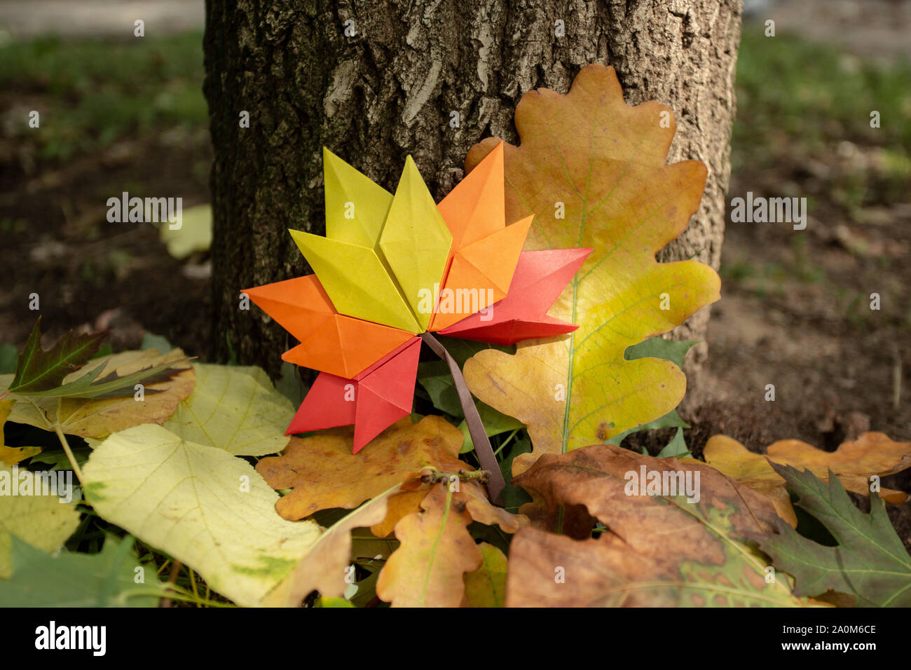 Origami autumn paper tree hi-res stock photography and images - Alamy