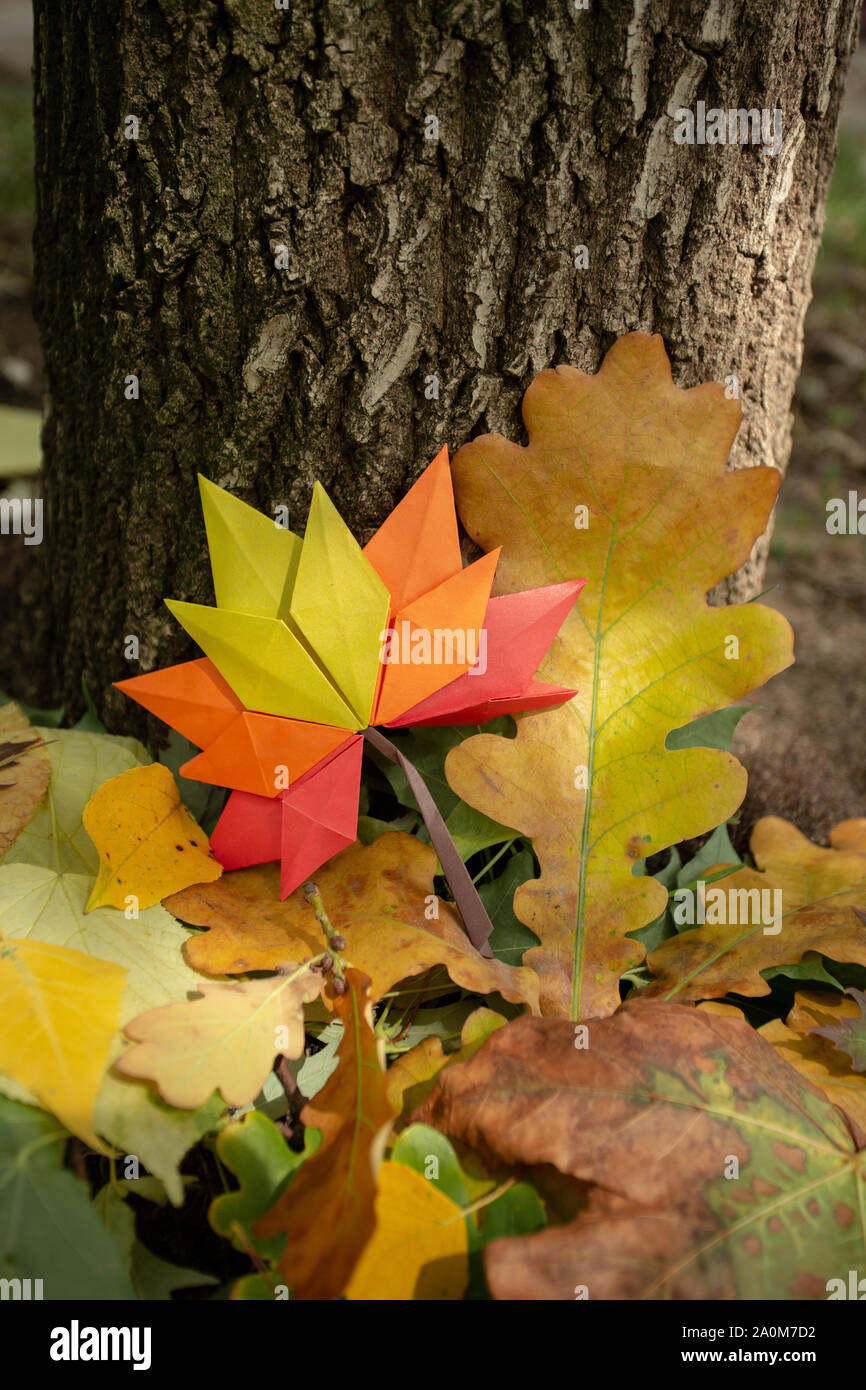 Autumn concept background traditional paper craft handmade origami