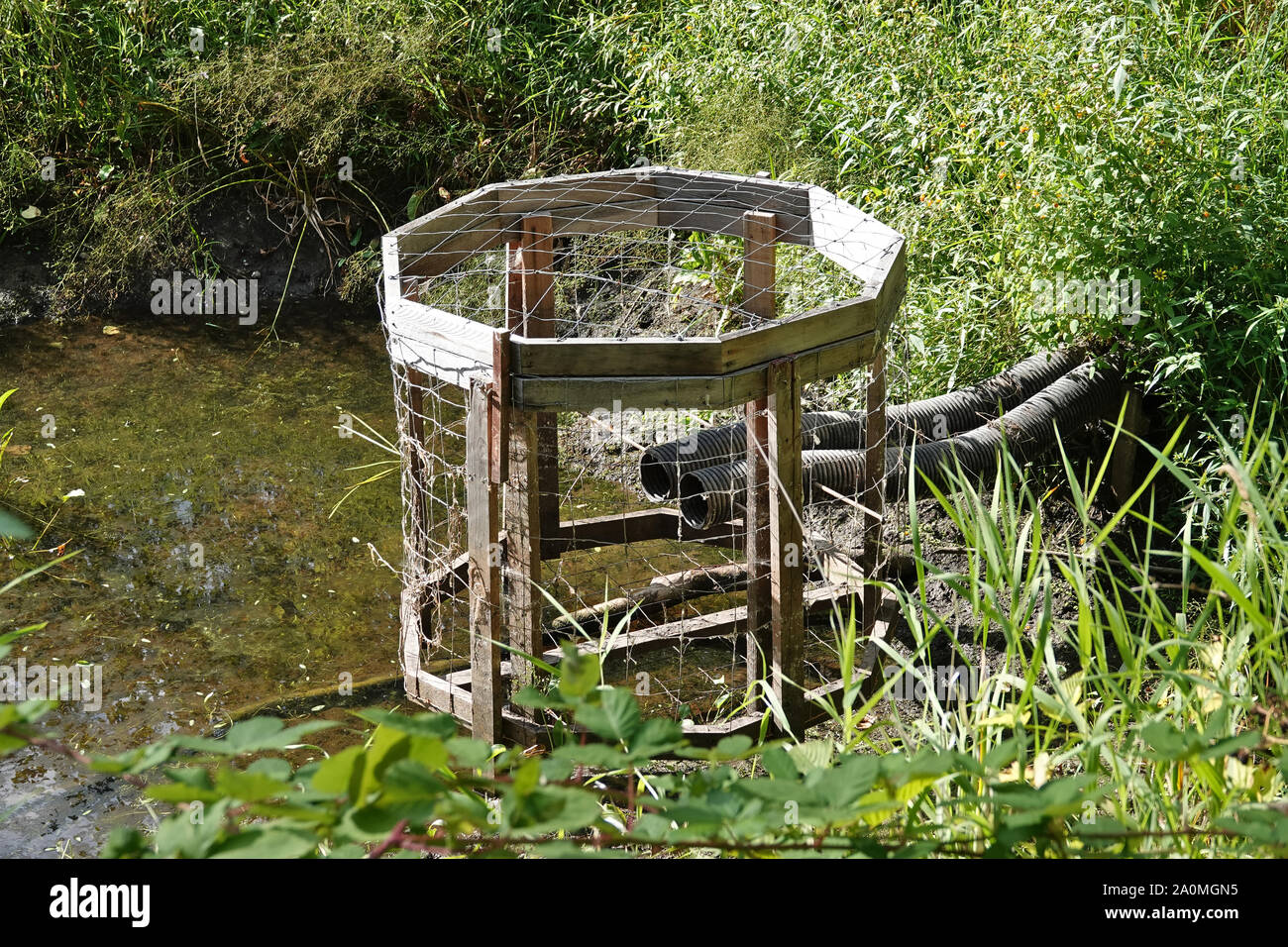 'Beaver Deceiver' flow device in Nisqually National Wildlife Refuge, WA, USA Stock Photo
