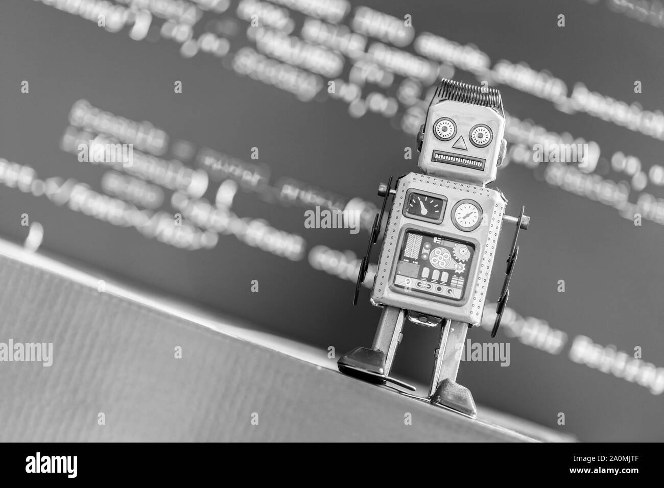Symbol for a chatbot or social bot and algorithms, program code in the background Stock Photo
