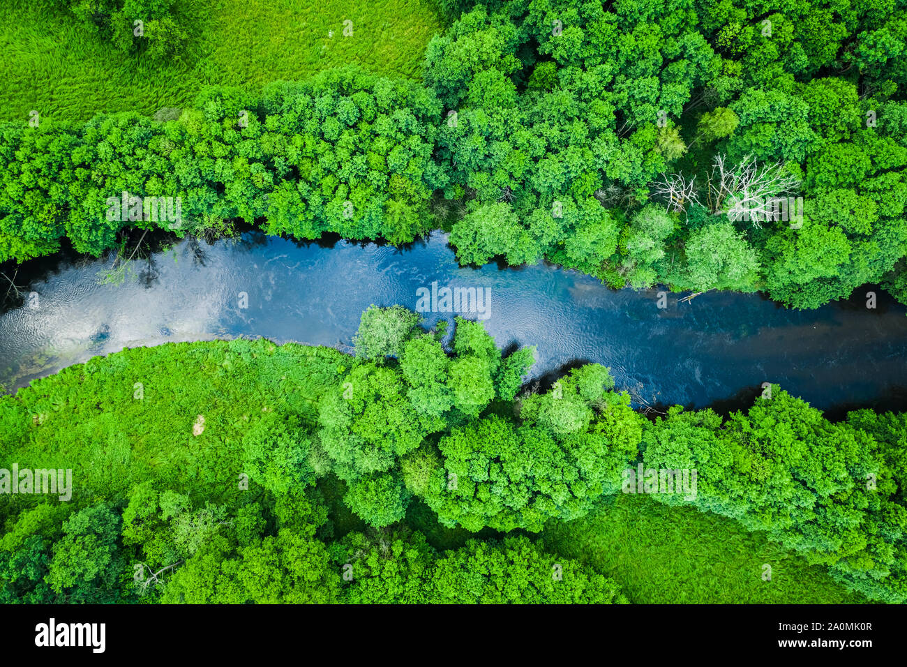 Green forest and river in Tuchola natural park, from above Stock Photo ...
