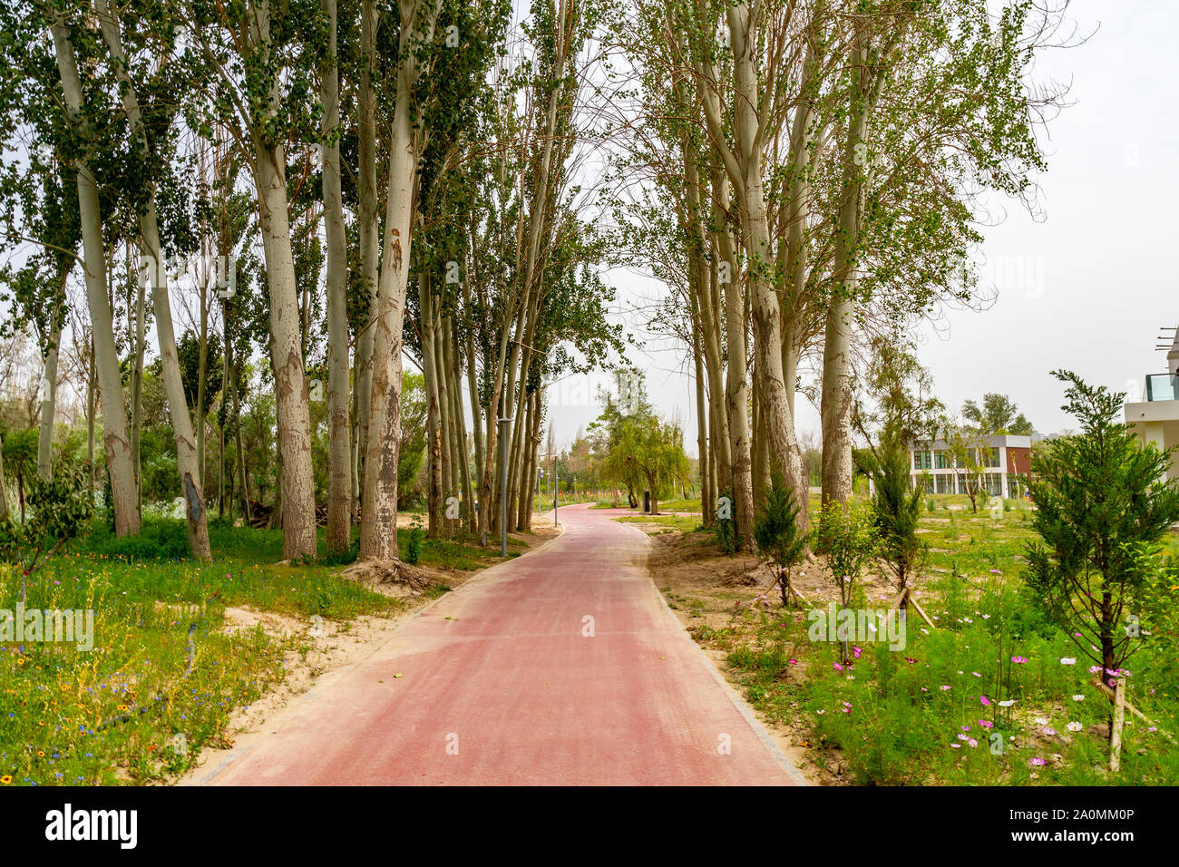 Hotan Picturesque Kunlun Lake Park View of a Common Road with Trees on a Cloudy Blue Sky Day Stock Photo