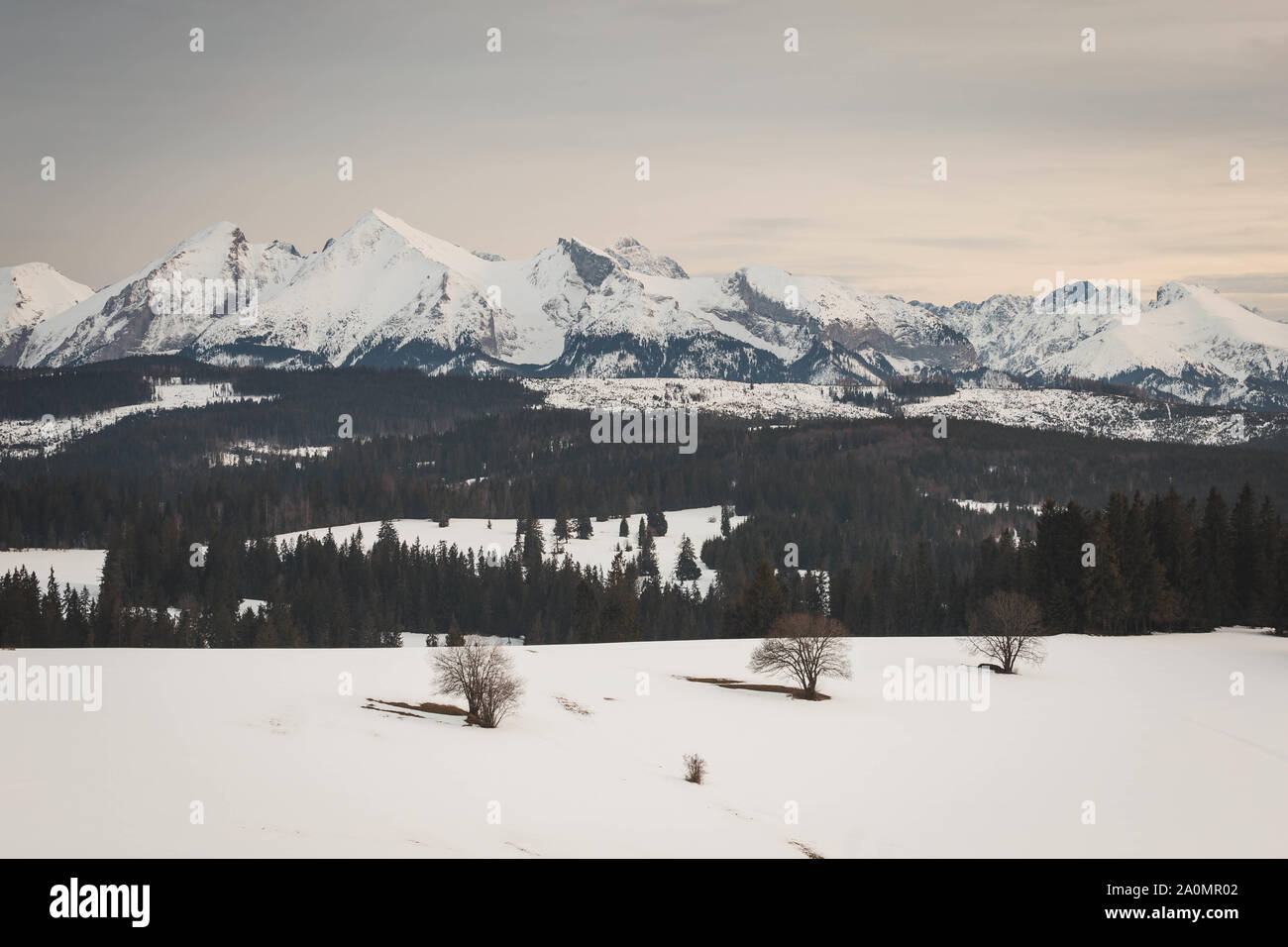 View from Lapszanka on sunset above tatra moutains in winter scenery. Stock Photo