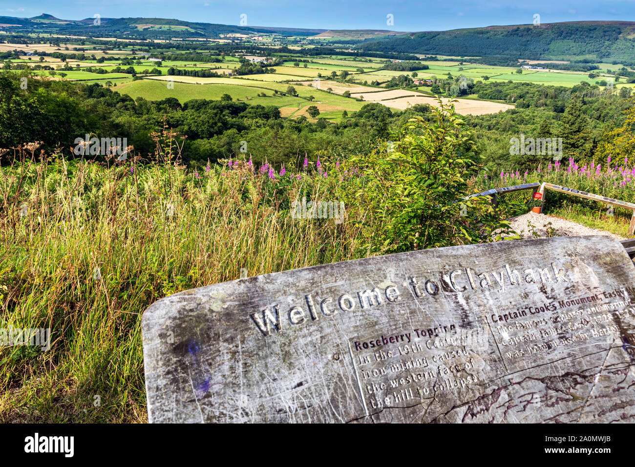 Landscape view of North Yorkshire Moors and Roseberry Topping, Claybank, Stokesley, England Stock Photo