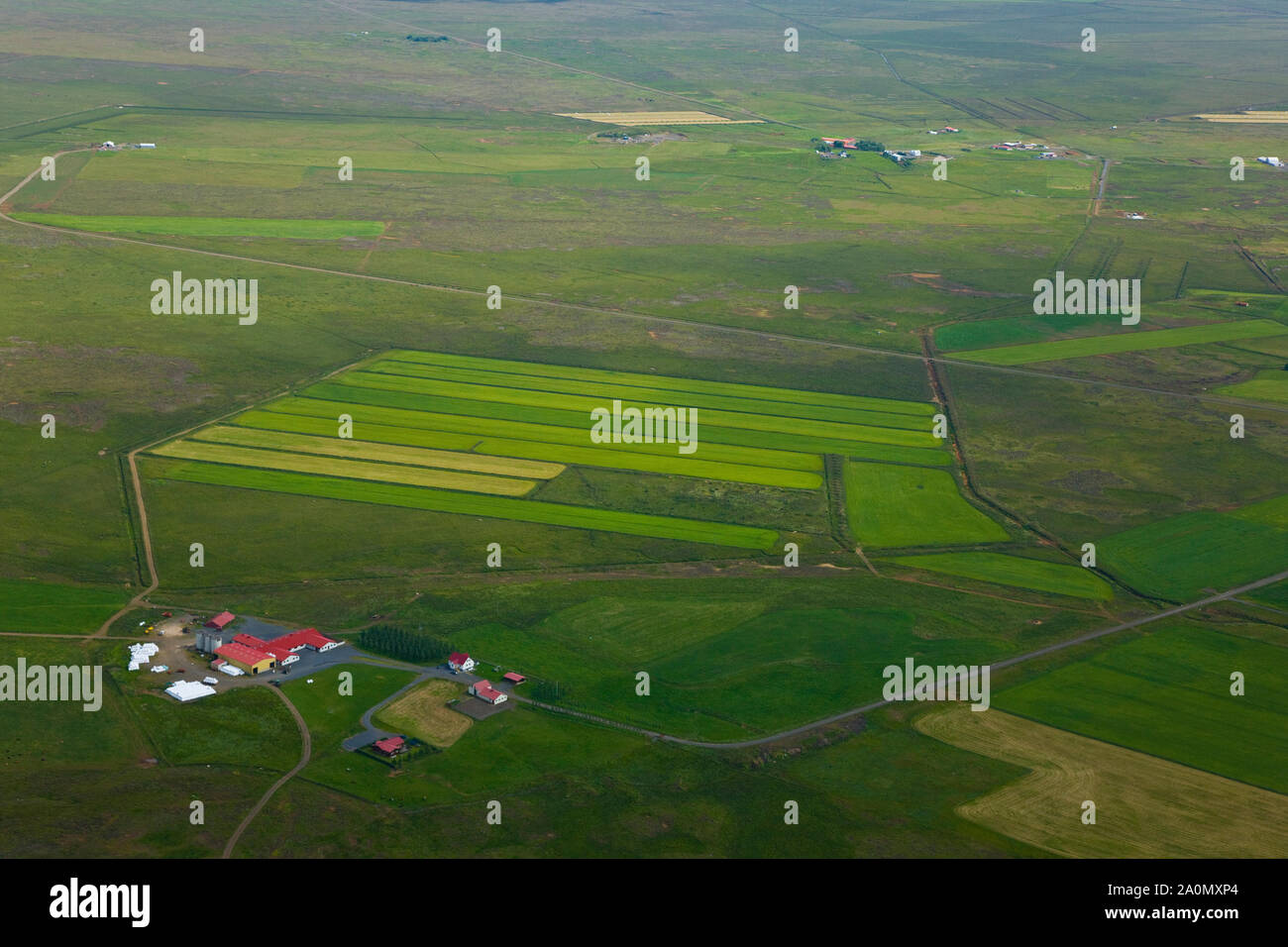 Paisaje agrícola en Selfoss. Suroeste de Islandia Stock Photo Alamy