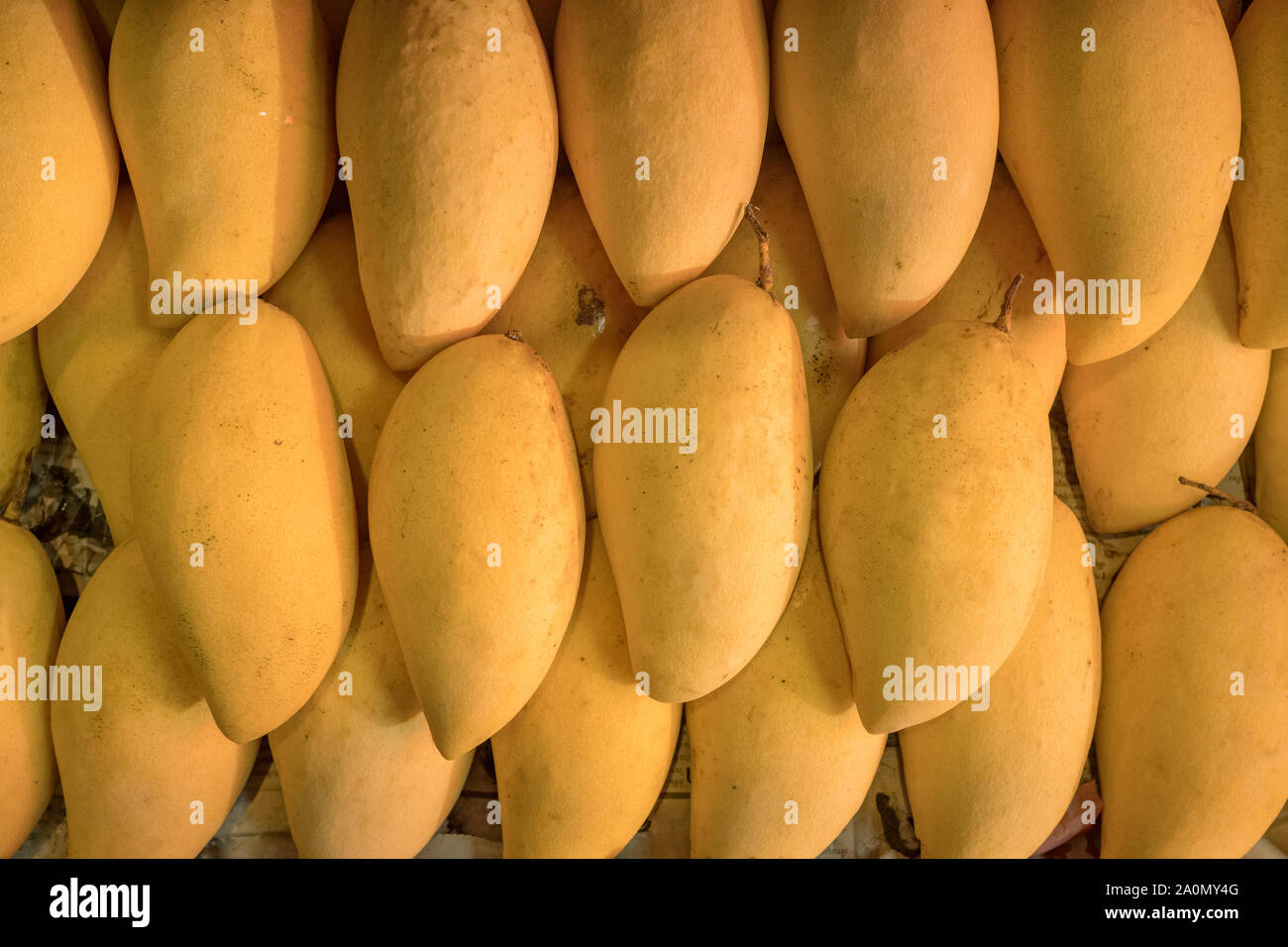 Pile of fresh yellow ripped Thai mango names Mamuang Kaew displayed on fruits stall shop Stock Photo