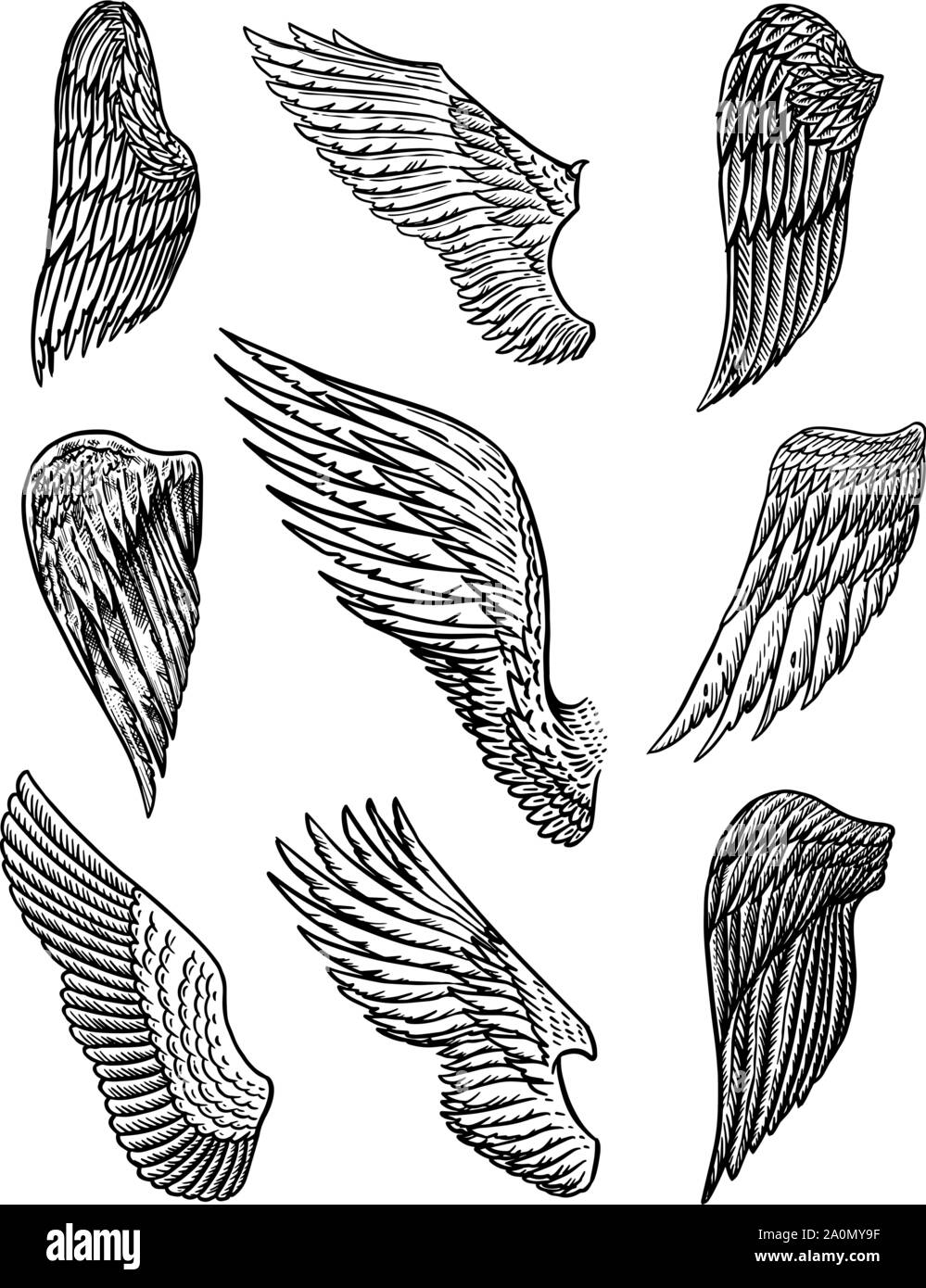 Hand drawn wings Sketch bird or angel wing with feathers engraved  different heraldic symbols for tattoo or emblem vintage vector set Stock  Vector Image  Art  Alamy