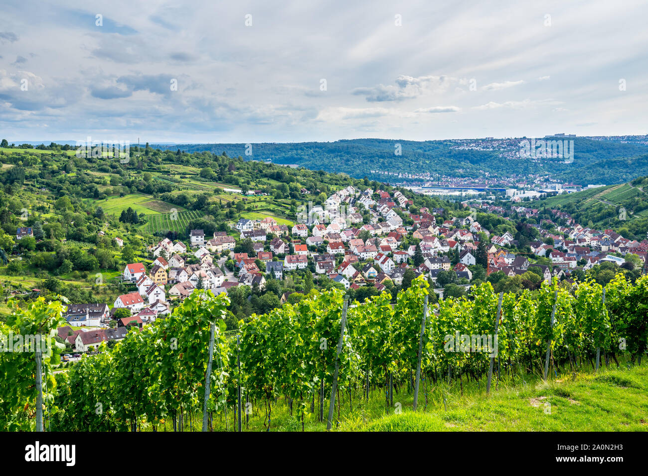 Stuttgart City Forest In Autumn High Resolution Stock Photography and ...