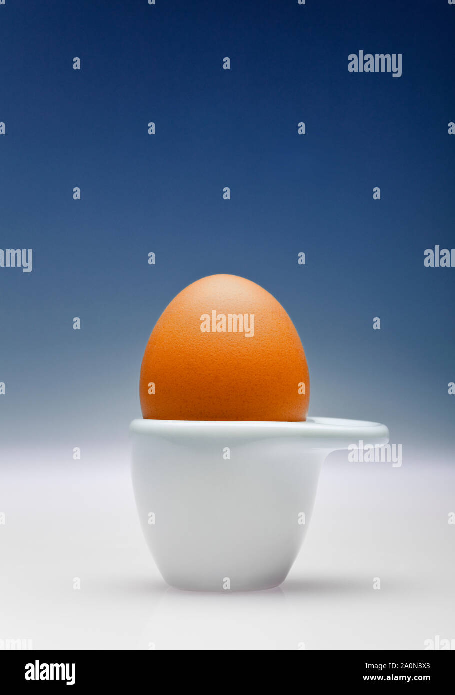 Brown egg in a white egg cup Stock Photo