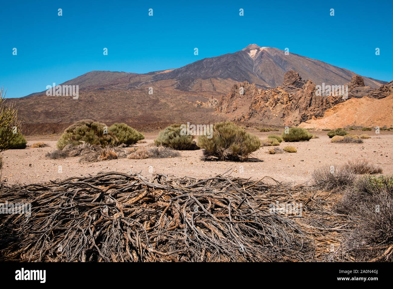 driep up vegetation or dead tree in desert landscape on Volcano Pico del Teide - Stock Photo
