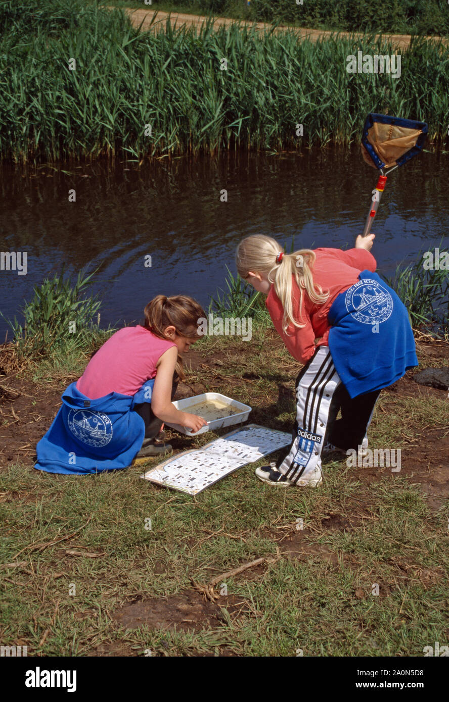 IDENTIFYING PONDLIFE  Children examining, identifyng, from a key, contents of net, placed in a holding tray. Hickling NNR, Norfolk, England Stock Photo