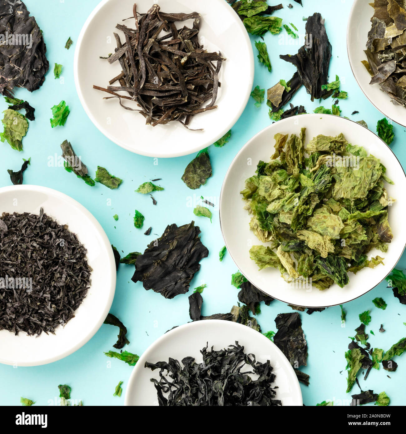 Various dry seaweed, sea vegetables, square overhead shot on a teal background Stock Photo