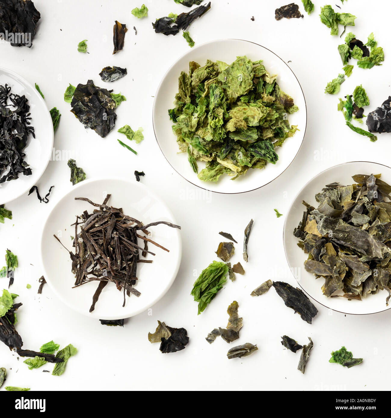 Various dry seaweed, sea vegetables, square overhead shot on a white background Stock Photo