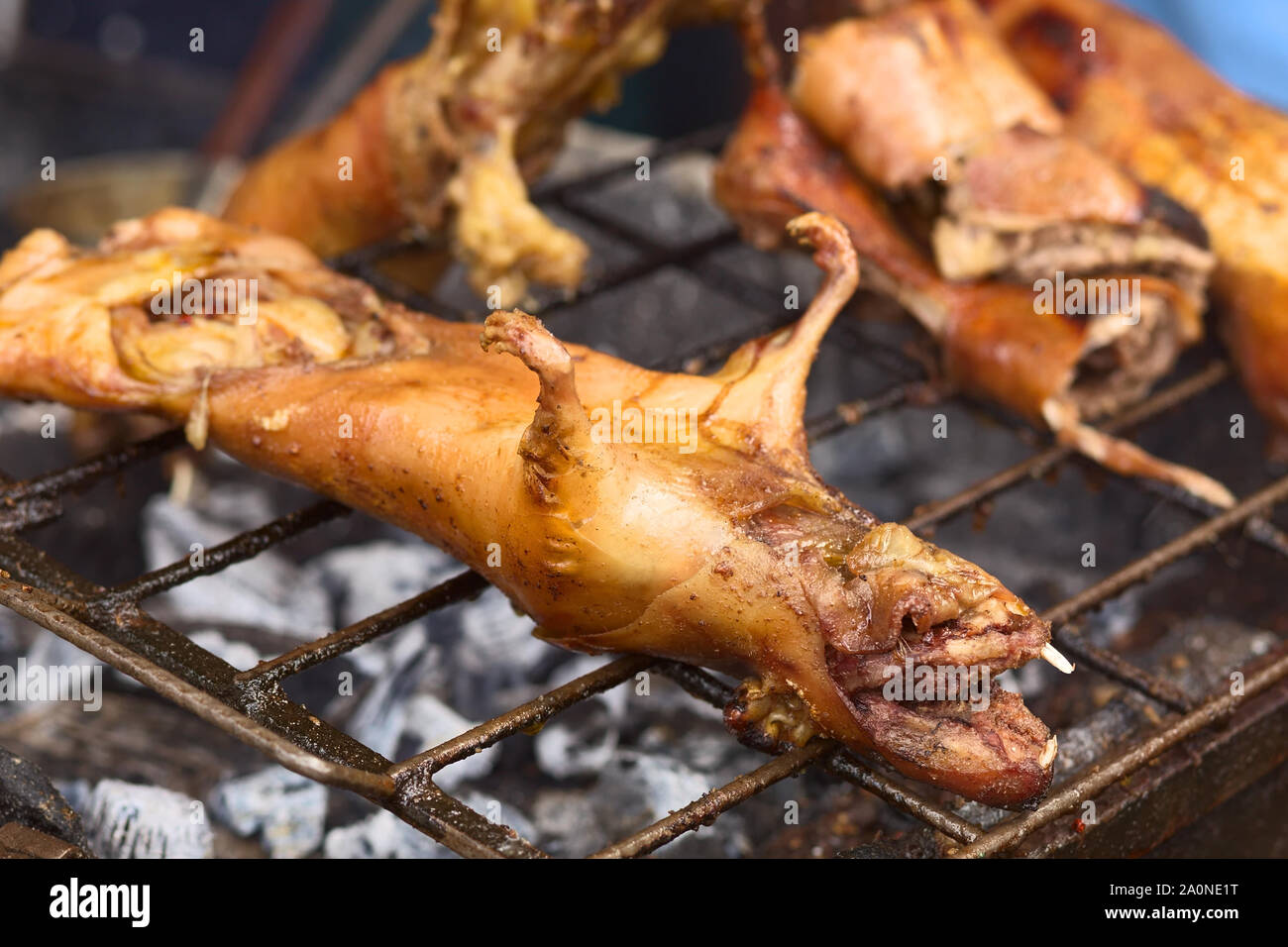 BANOS, ECUADOR - FEBRUARY 28, 2014: Guinea pigs being barbecued for sale on Ambato Street at the market hall on February 28, 2014 in Banos, Ecuador Stock Photo