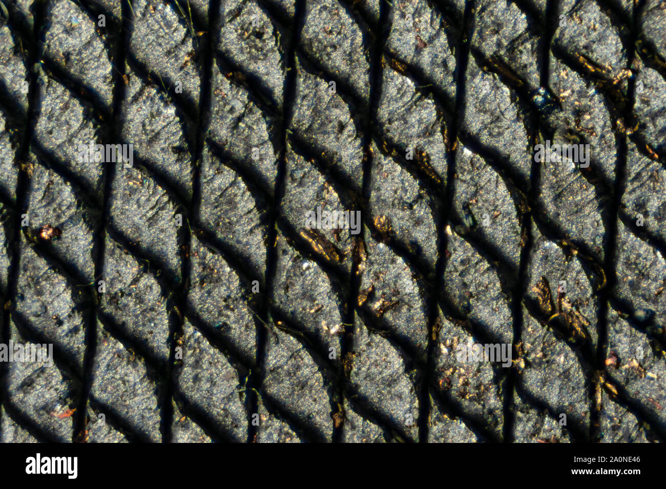Needle file teeth magnified forty times under a microscope made up of