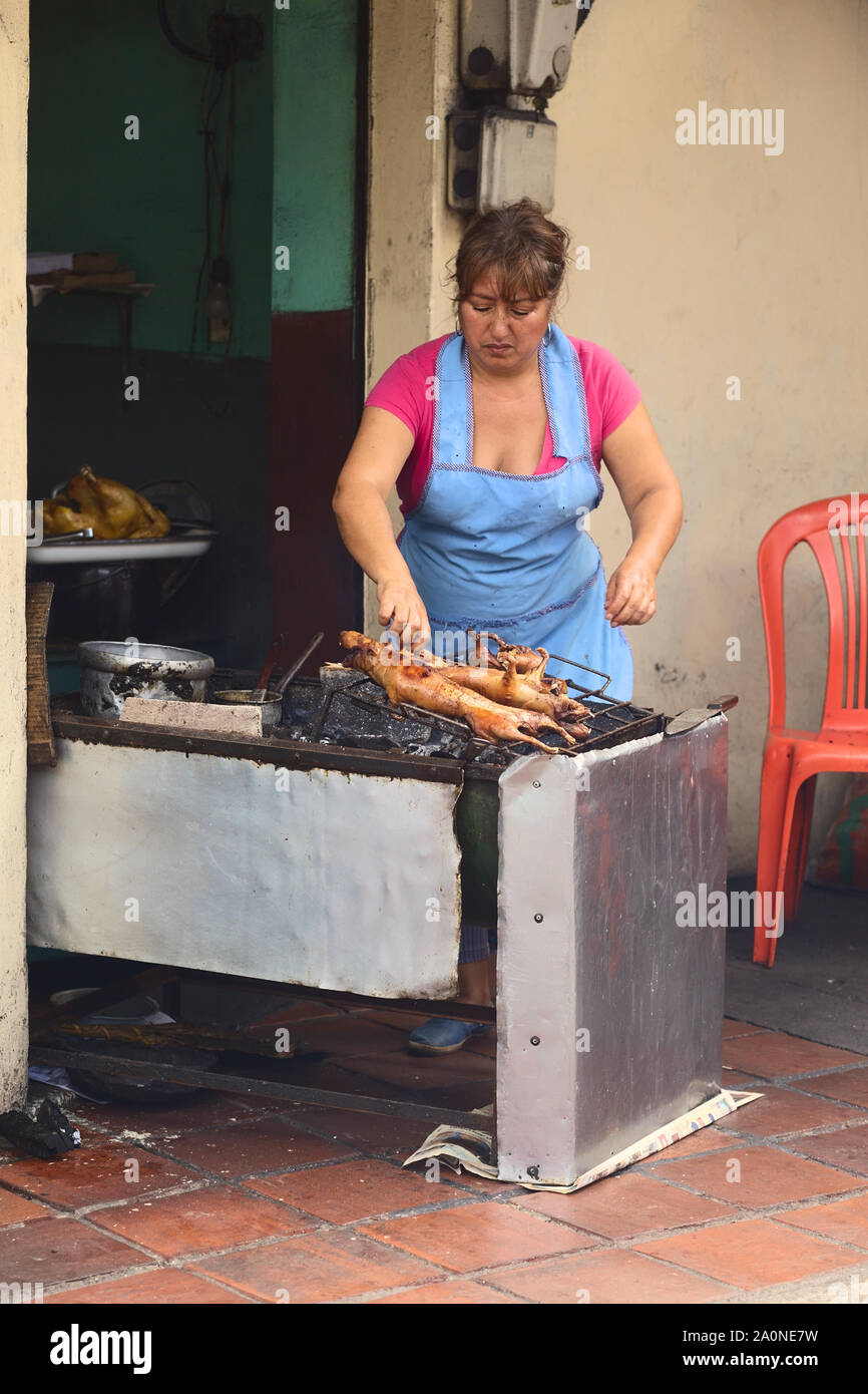 BANOS, ECUADOR - FEBRUARY 28, 2014: Unidentified woman roasting guinea pig for sale at the market hall on Ambato Street in Baños, Ecuador Stock Photo