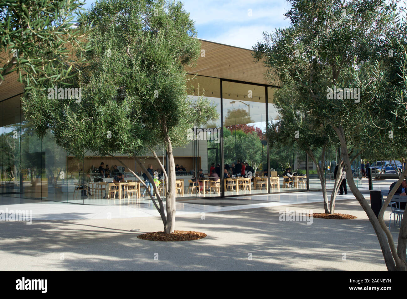 CUPERTINO, CALIFORNIA, UNITED STATES - NOV 26th, 2018: Exterior view of the new and modern Apple Park visitor center located next to their new Stock Photo