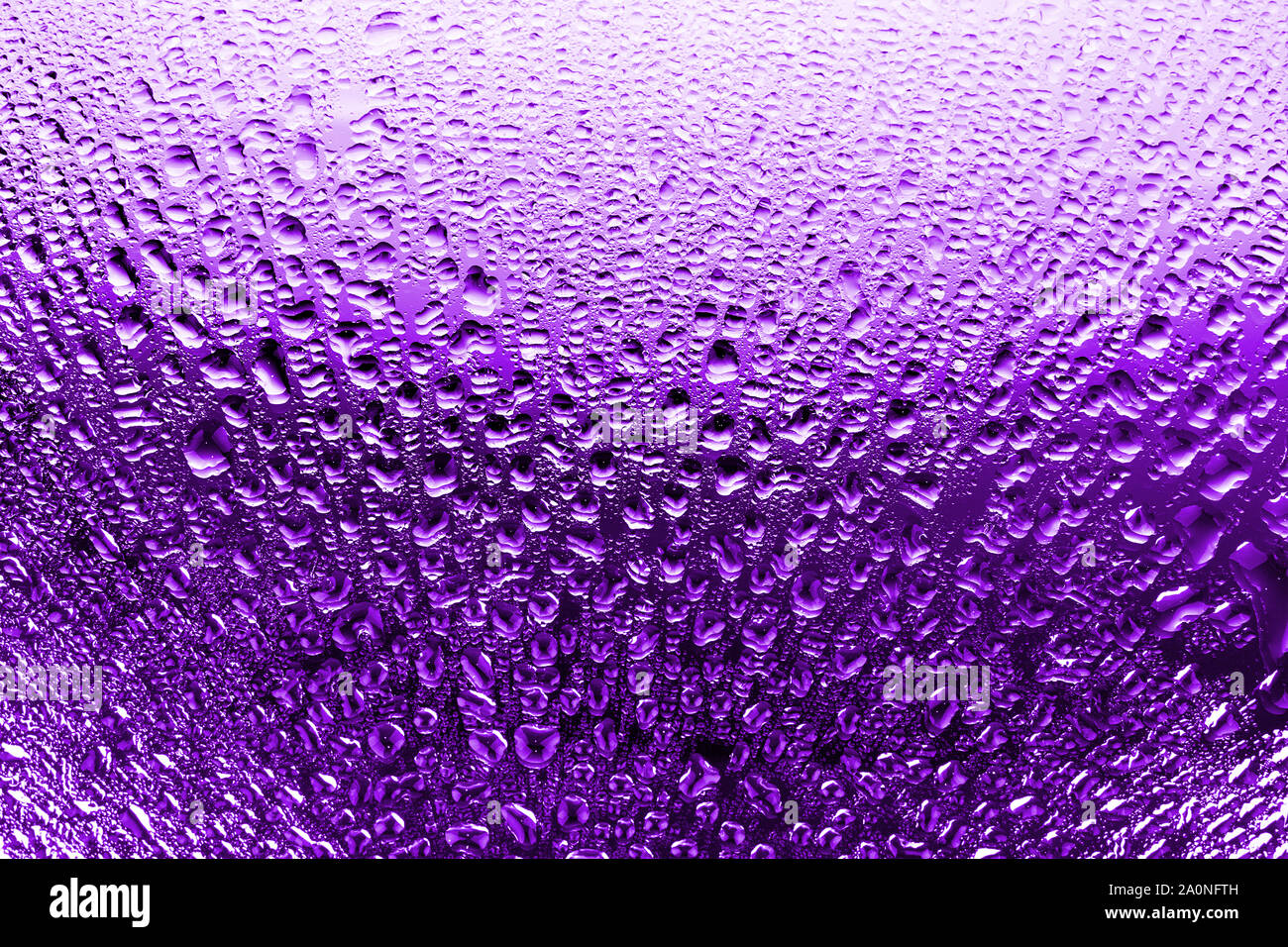 Wet glass in drops of water or rain, bright purple color, studio light