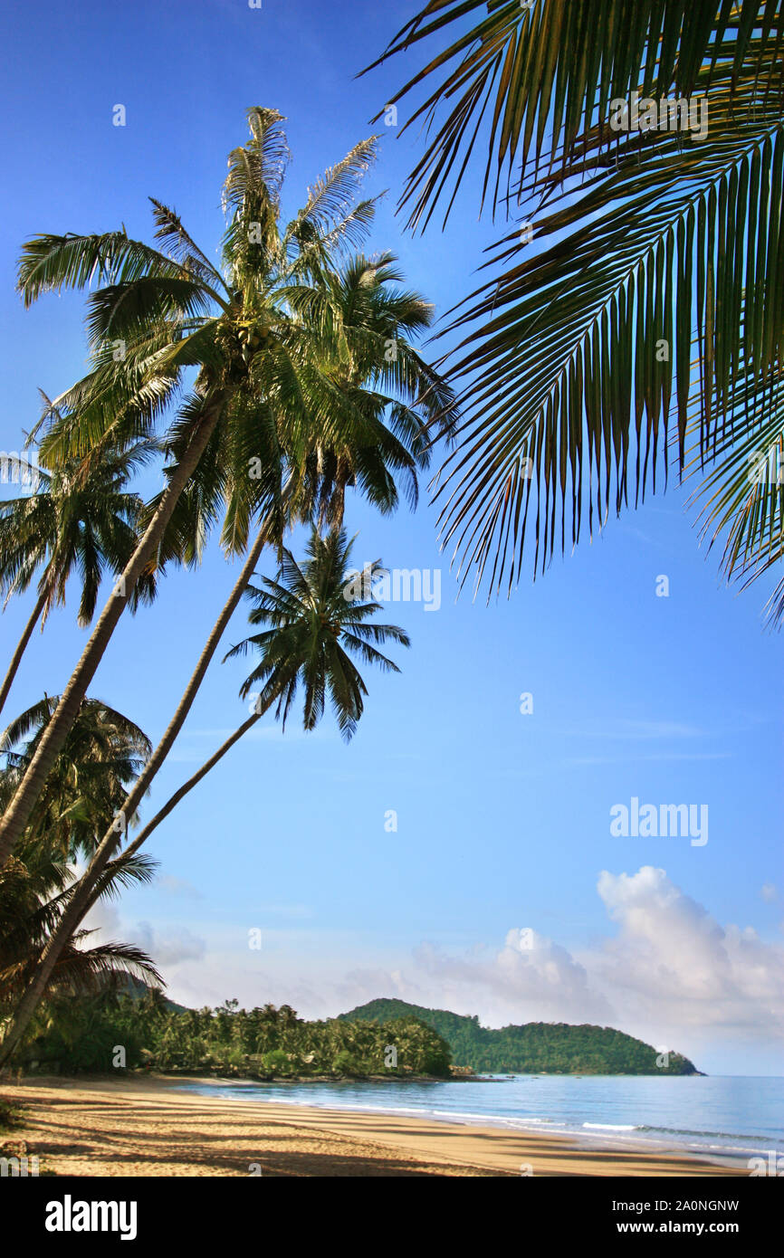Beach with golden sand and green palm trees on blue sea, sunny sky ...