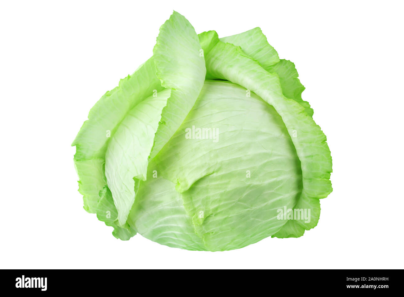 Whole head of green leafy cabbage on white background isolated close up