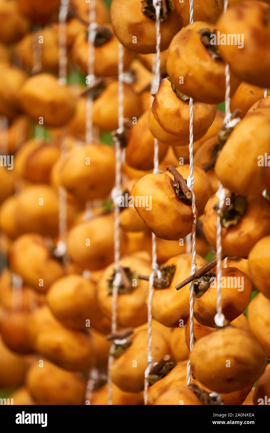 Japanese persimmons drying out hires stock photography and images Alamy