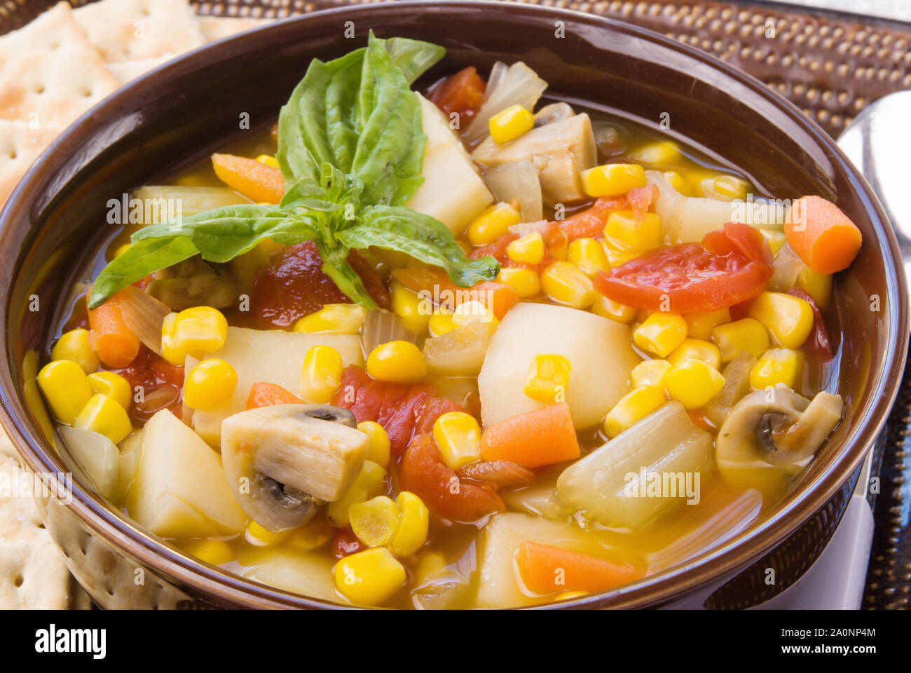 Warm homemade vegetable soup and served with crispy saltine crackers in a brown bowl. Stock Photo