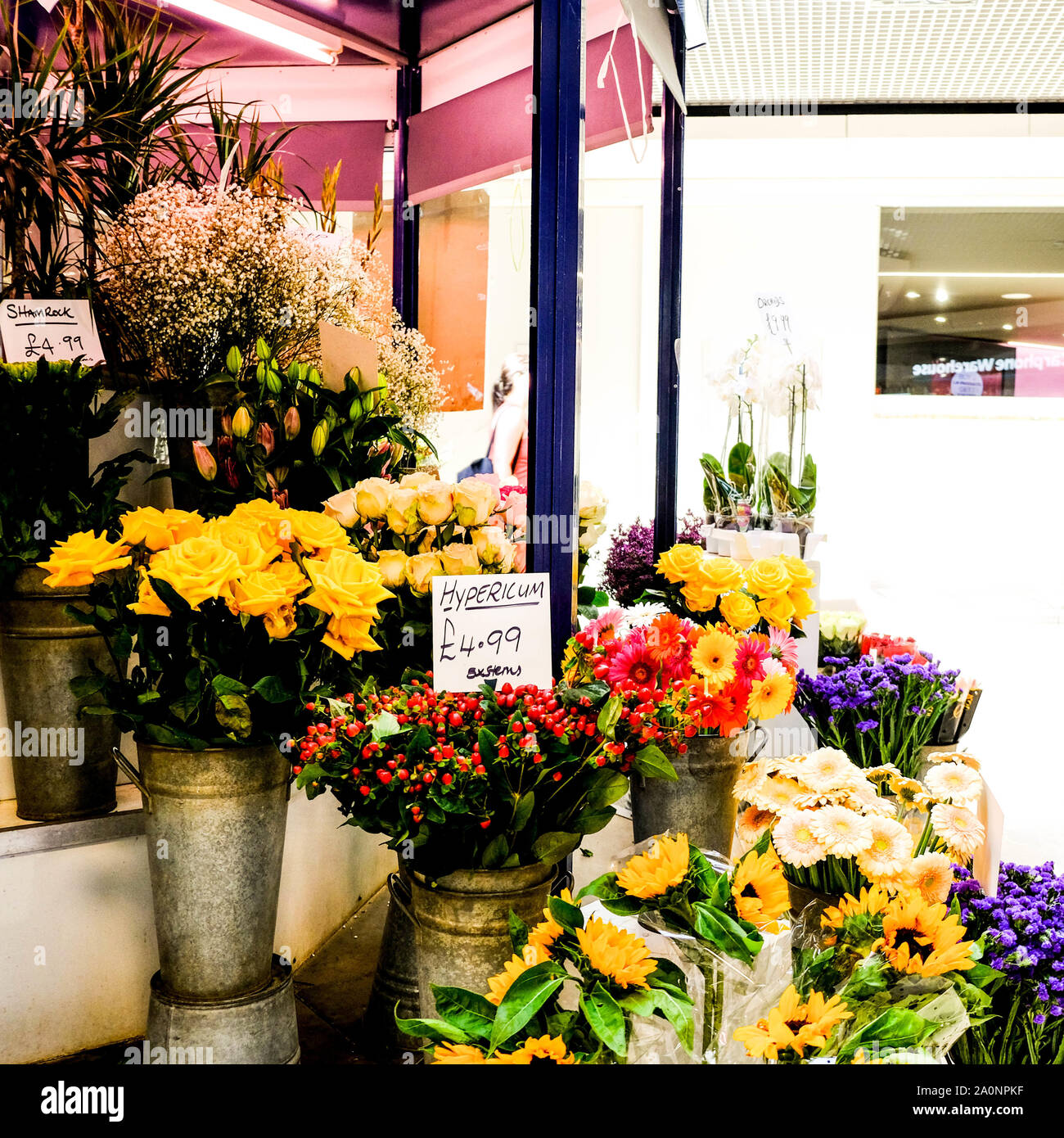 Indoor Flower Seller or Florist in a Shopping Mall With Sunflowers, Roses, Hypericums and Plants Stock Photo