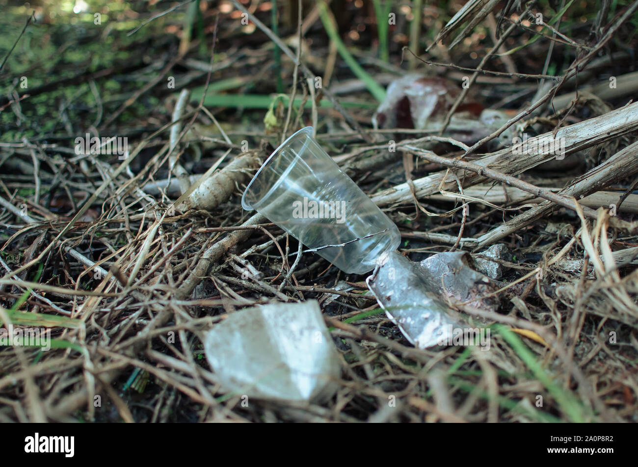 plastic waste, glass, ceramics and rubbish in the forest. Environmental  pollution. Environmental issue and disaster. Go Green, Zero Waste, Save the  Pl Stock Photo - Alamy
