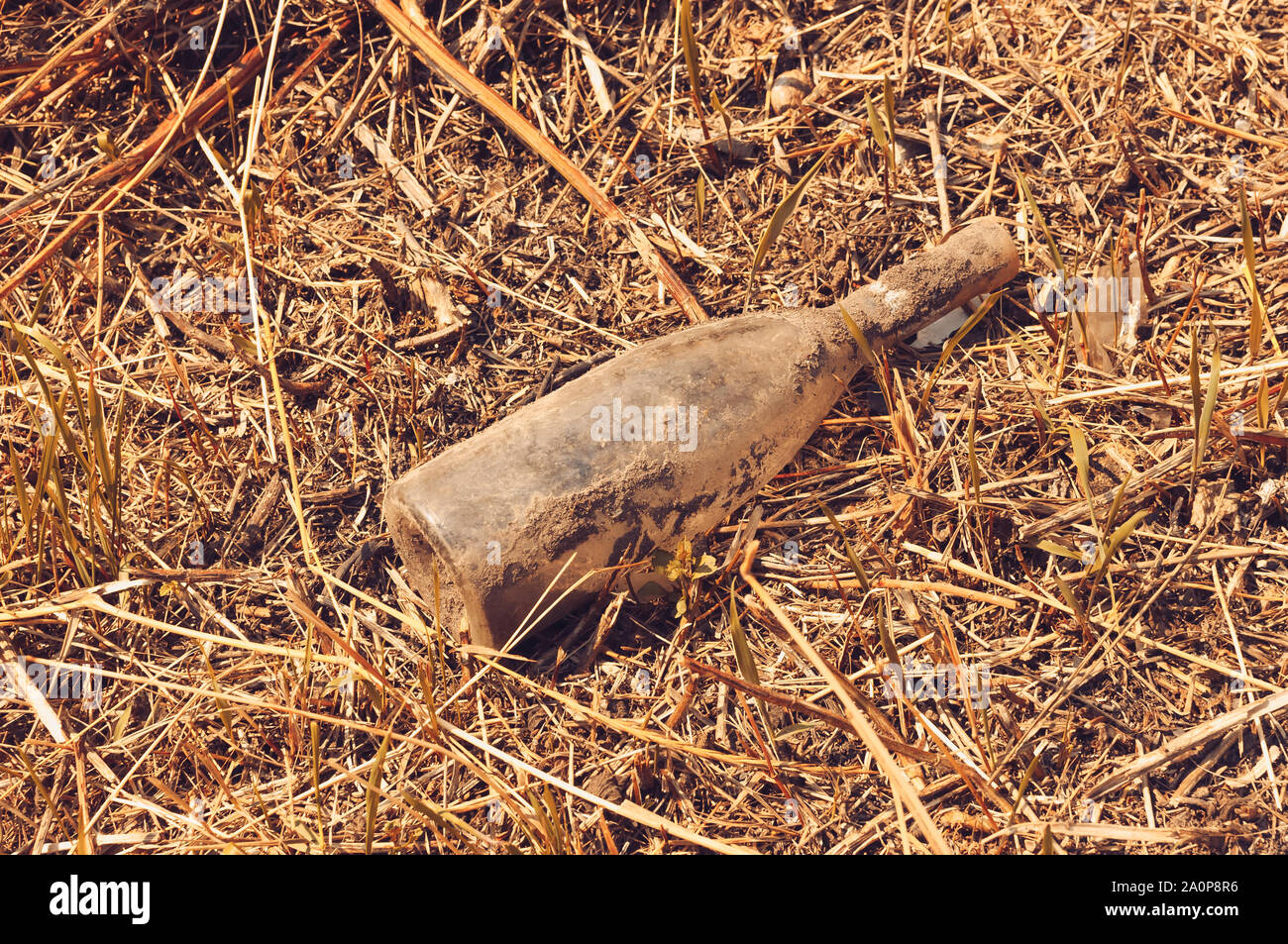 glass wine bottle and trash in the forest. Environmental pollution