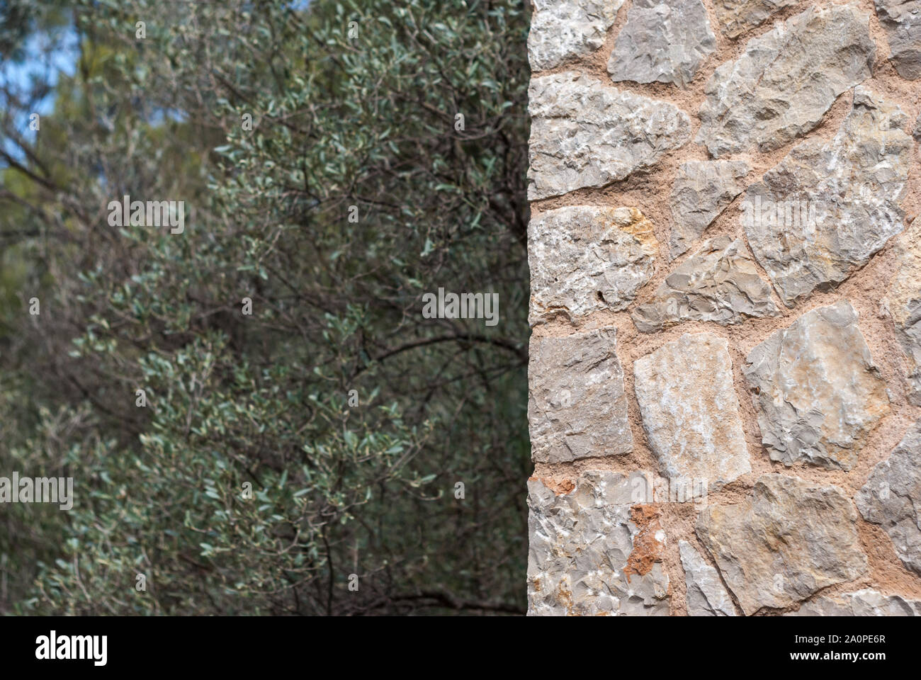 Copy paste background hi-res stock photography and images - Alamy
