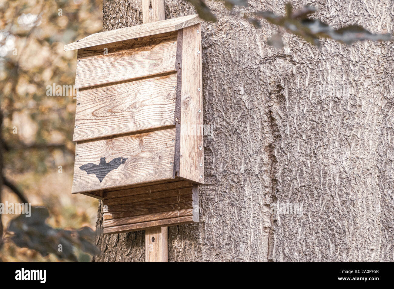 a bat box hangs from a tree in the forest and provides shelter for bats
