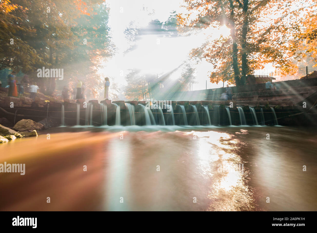 Light filtered through leaves hi-res stock photography and images - Alamy