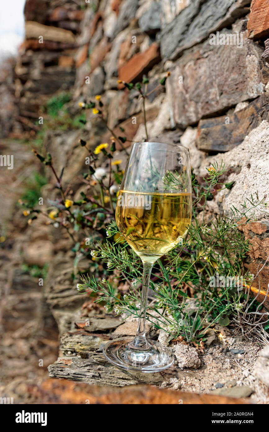 Winemaking region hires stock photography and images Alamy