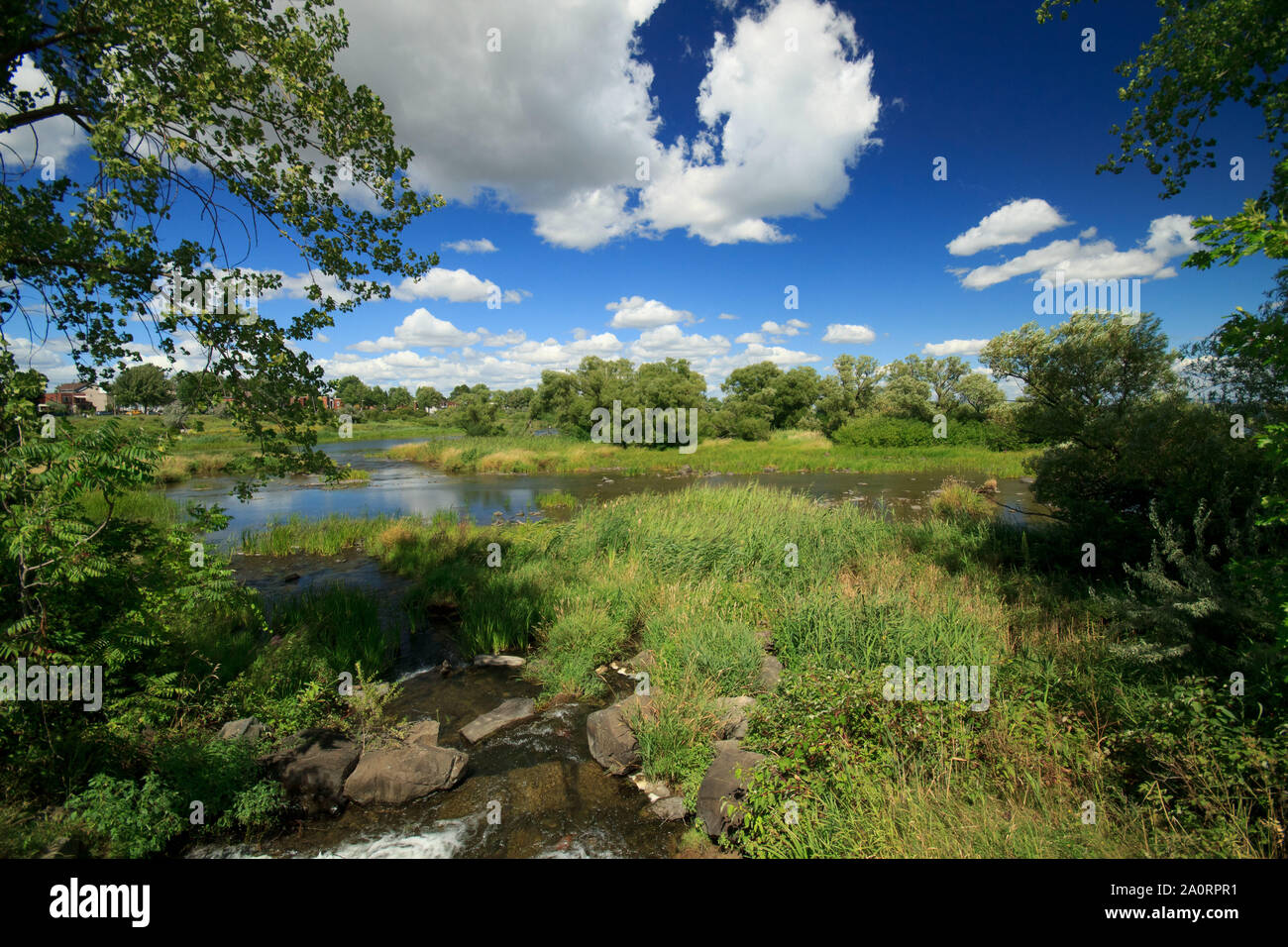 Wide angle landscape of suburban wetlands at Lachine Rapids Park,Lasalle,Quebec,Canada Stock Photo