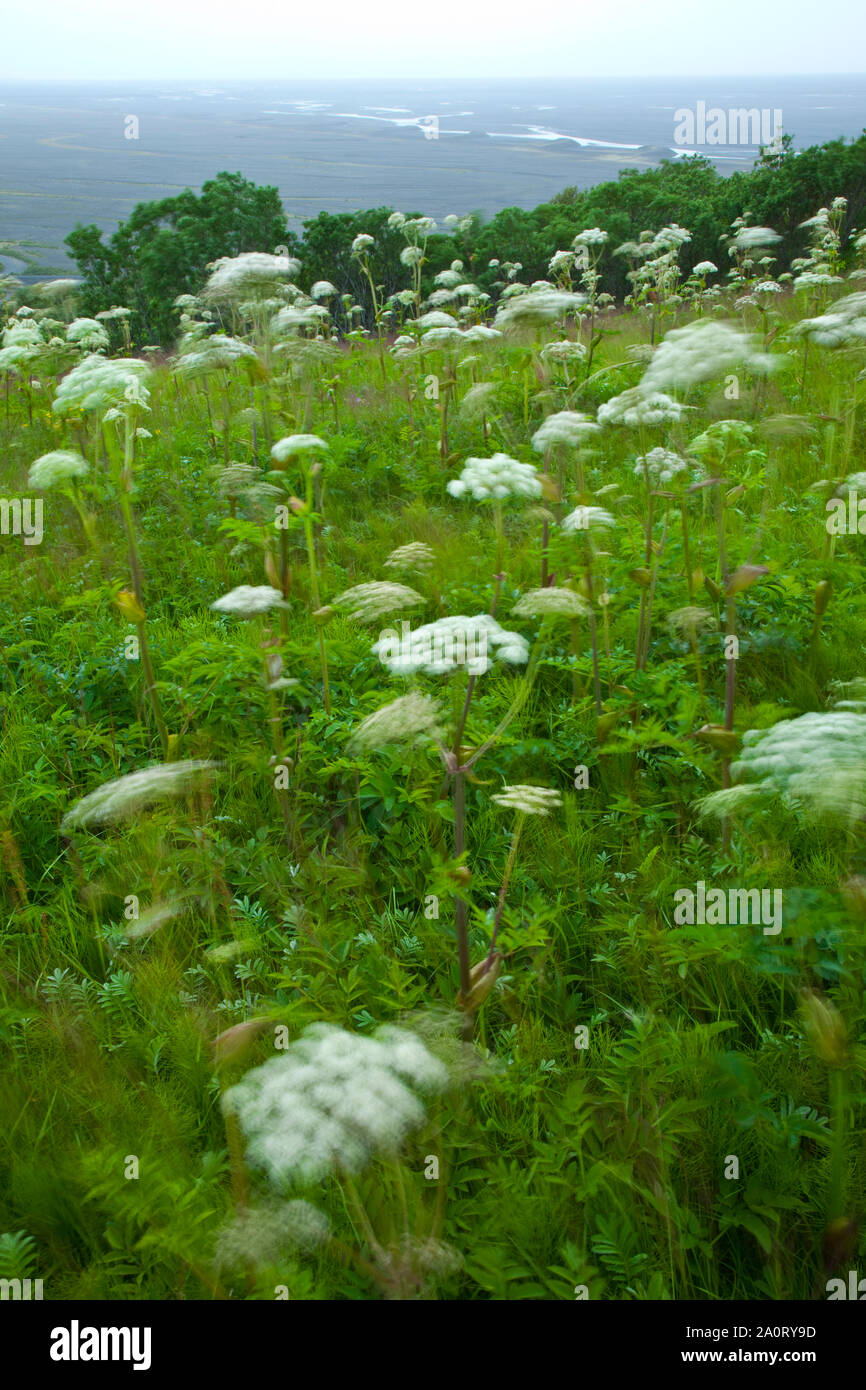 Parque Nacional Skaftafell, Islandia Stock Photo Alamy