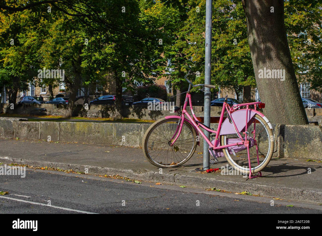 pretty in pink bike