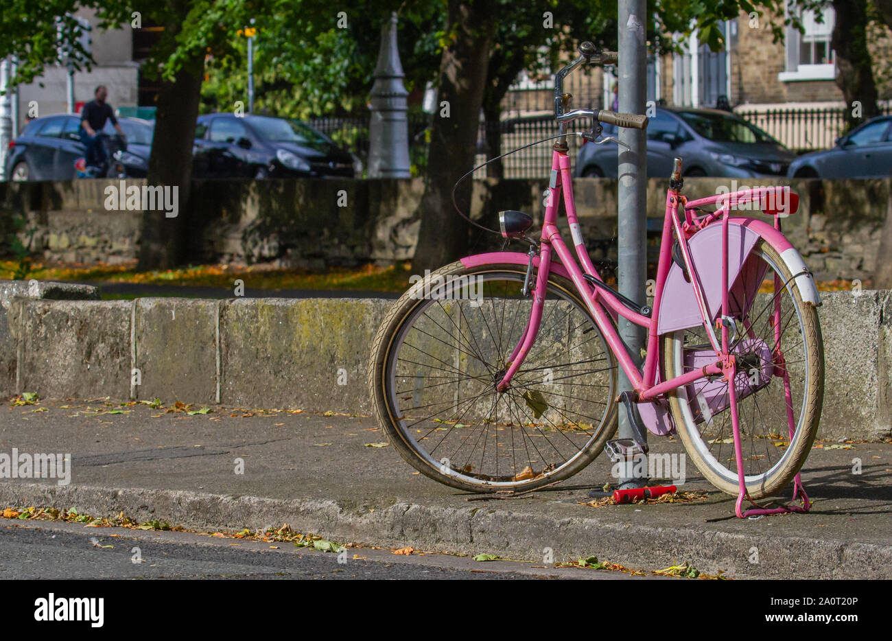 pretty in pink next bike