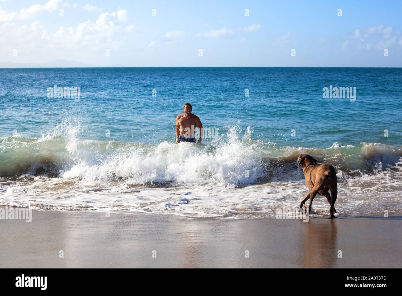 Sosua, Dominican Republic, December 26, 2016, man in the sea playing with a dog and big blue ocean wave with splashes and white foam on the beach Stock Photo