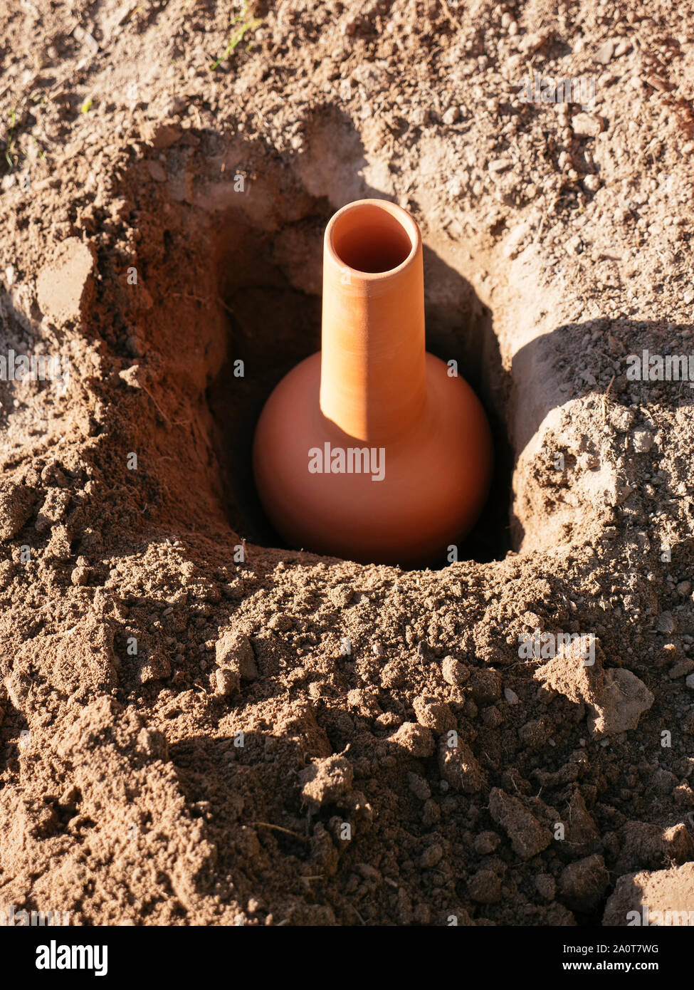 Olla pot in a hole in a garden as irrigation system in dry seasons Stock Photo