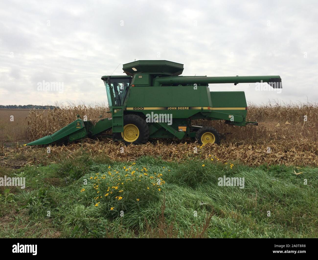 Farmer in Central Illinois harvesting his corn crop in the fall Stock Photo