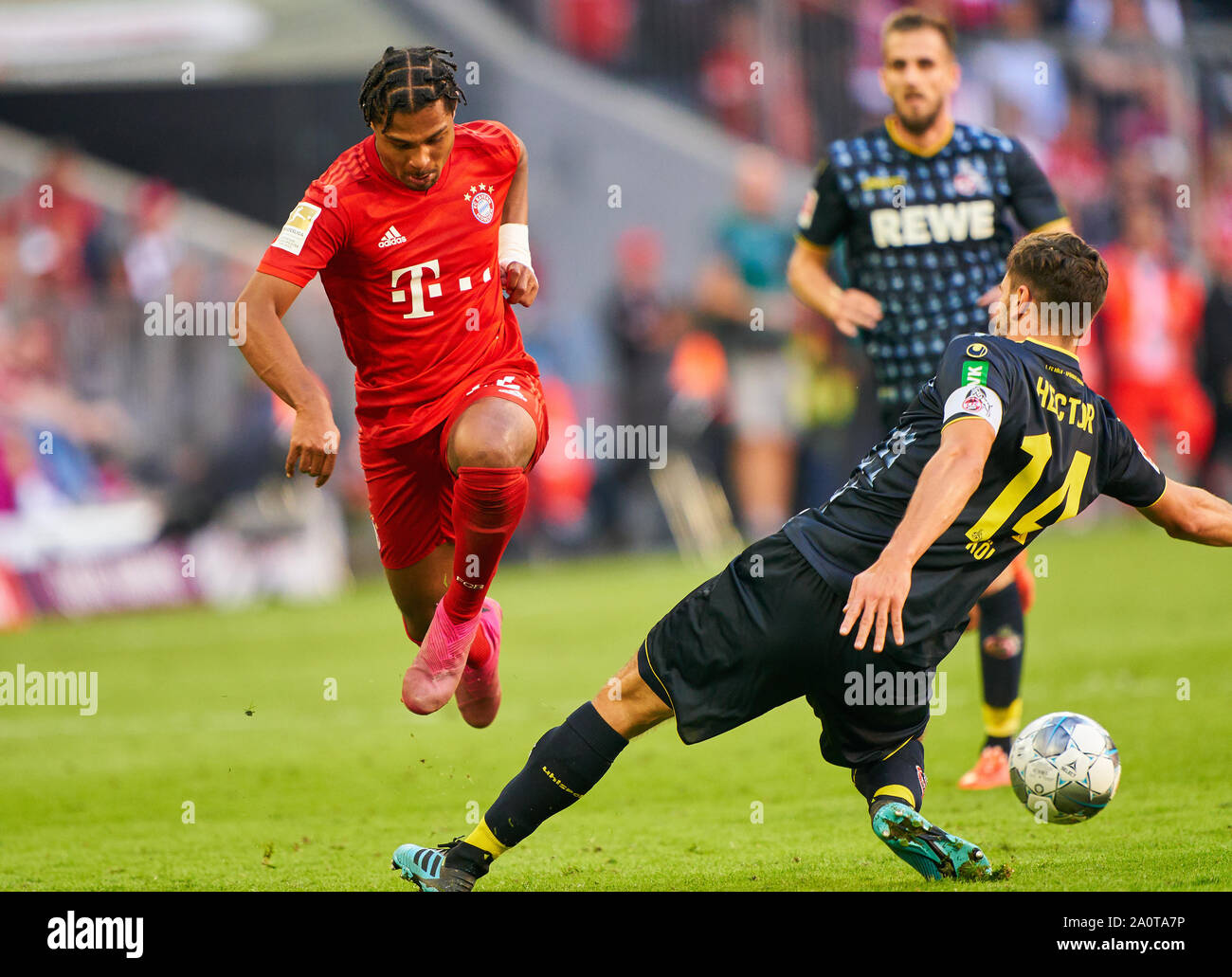 Munich, Germany. 21st Sep, 2019. Serge GNABRY, FCB 22 compete for the ball, tackling, duel, header, zweikampf, action, fight against Jonas HECTOR, 1.FCK 14 FC BAYERN MUNICH - 1.FC KÖLN 4-0 - DFL REGULATIONS PROHIBIT ANY USE OF PHOTOGRAPHS as IMAGE SEQUENCES and/or QUASI-VIDEO - 1.German Soccer League, Munich, September 21, 2019 Season 2019/2020, matchday 05, FCB, München, Cologne Credit: Peter Schatz/Alamy Live News Stock Photo