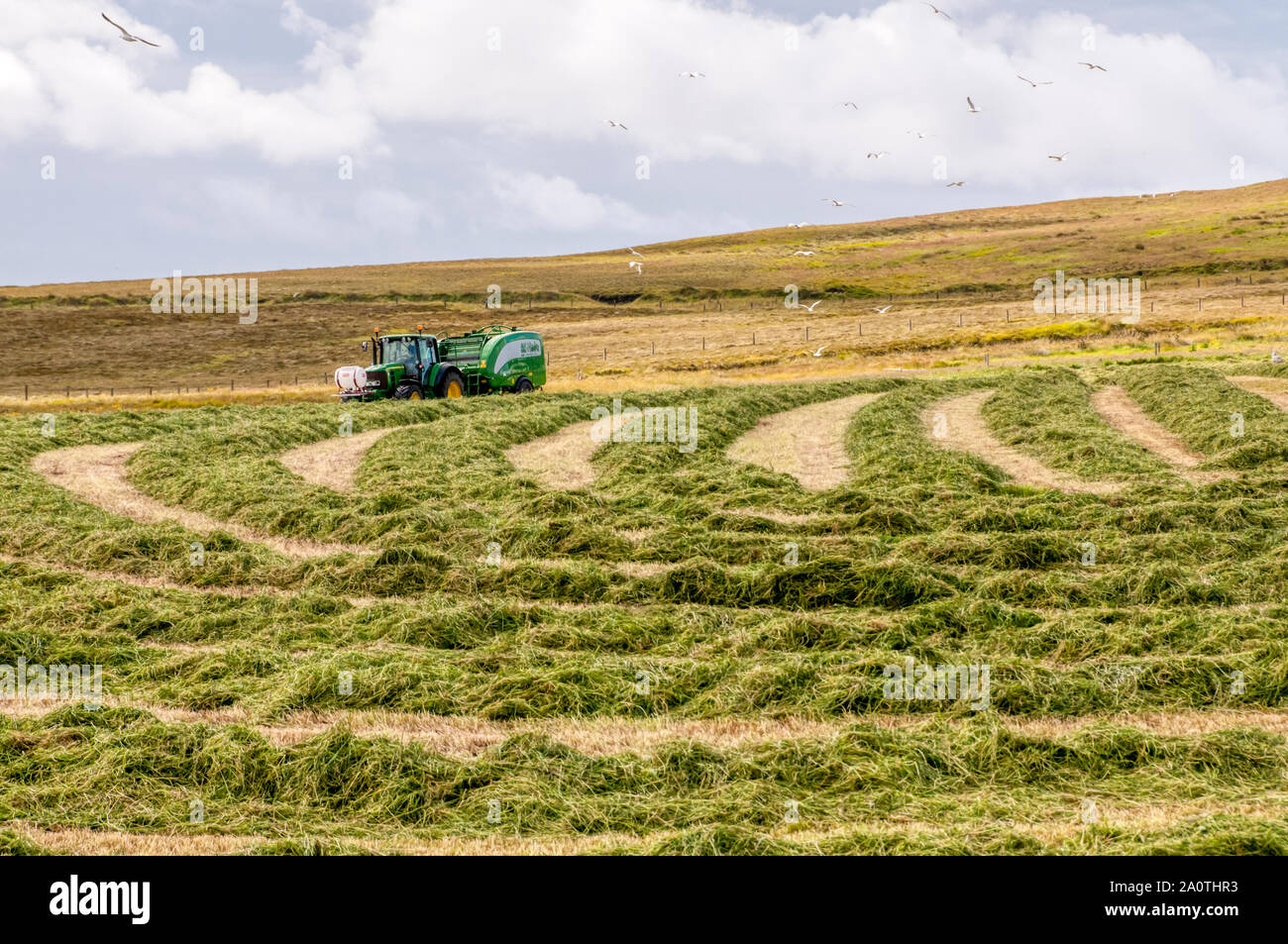 John Deere tractor towing McHale Fusion 3 integrated baler wrapper making sileage in Shetland. Ecosyl silage additive drum mounted on front of tractor Stock Photo