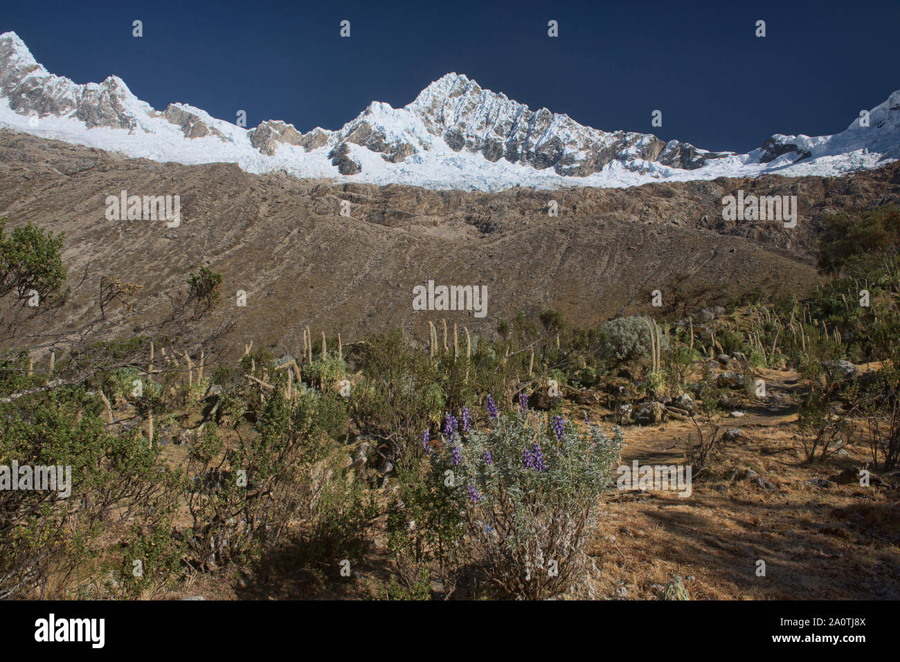 Alpamayo and Quitaraju rise above basecamp, Cordillera Blanca, Ancash, Peru Stock Photo