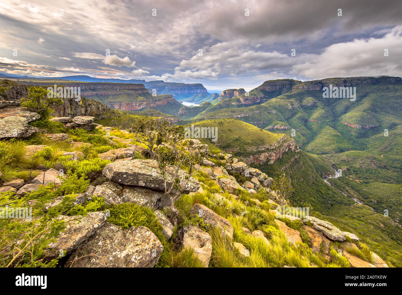 Natural vegetation and rocks at viewpoint over panoramic scenery of Blyde river Canyon Mpumalanga South Africa Stock Photo
