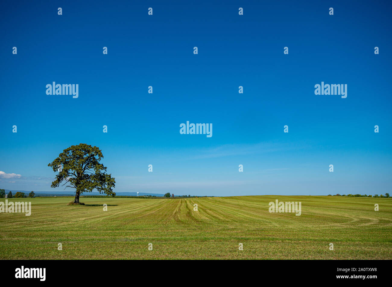 Grass field tree dramatic sky hi-res stock photography and images - Alamy