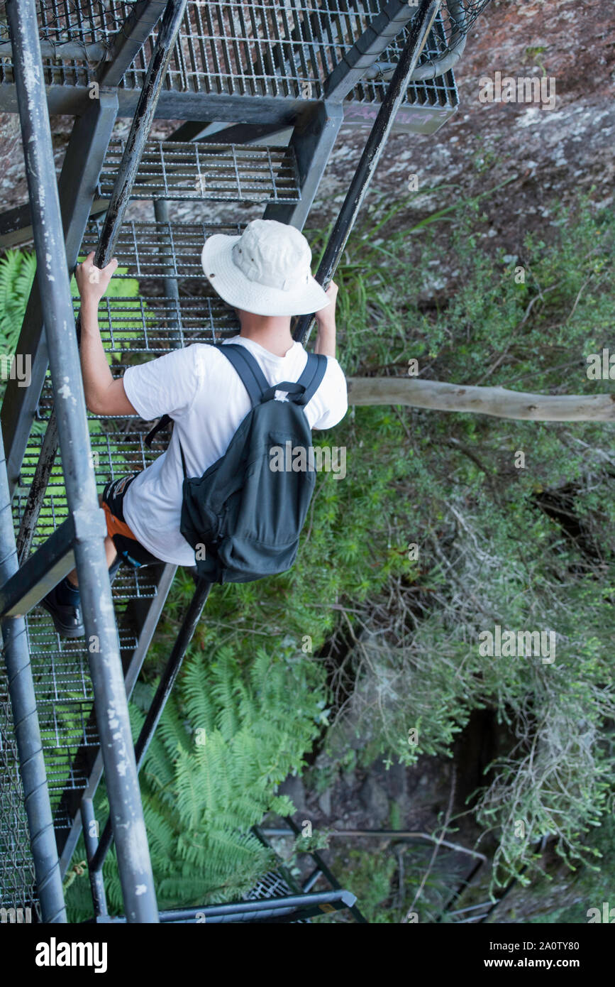 Part of the extensive steel staircase on the near vertical final section of the climb up Pigeon House Mountain on the New South Wales south coast. Stock Photo
